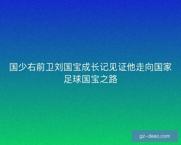 国少右前卫刘国宝成长记见证他走向国家足球国宝之路