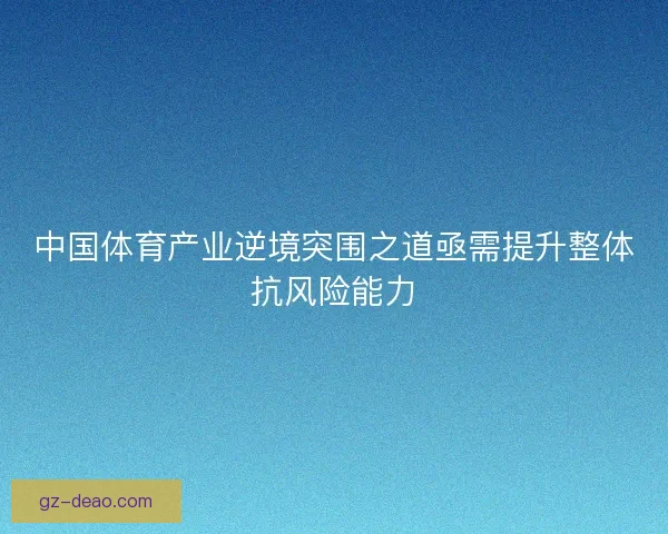 中国体育产业逆境突围之道亟需提升整体抗风险能力