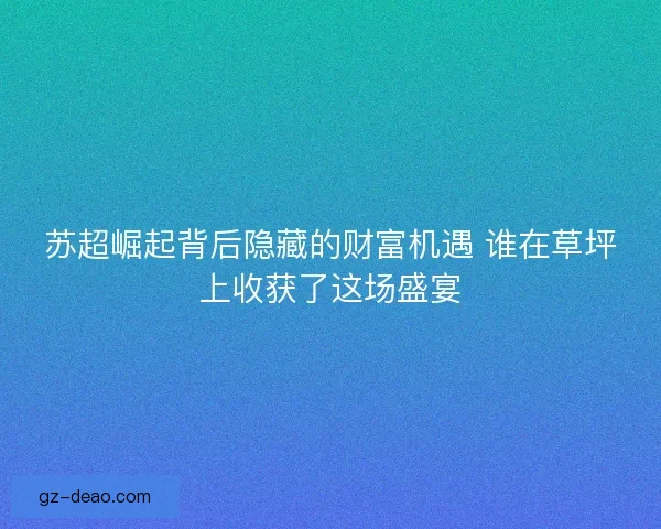 苏超崛起背后隐藏的财富机遇 谁在草坪上收获了这场盛宴